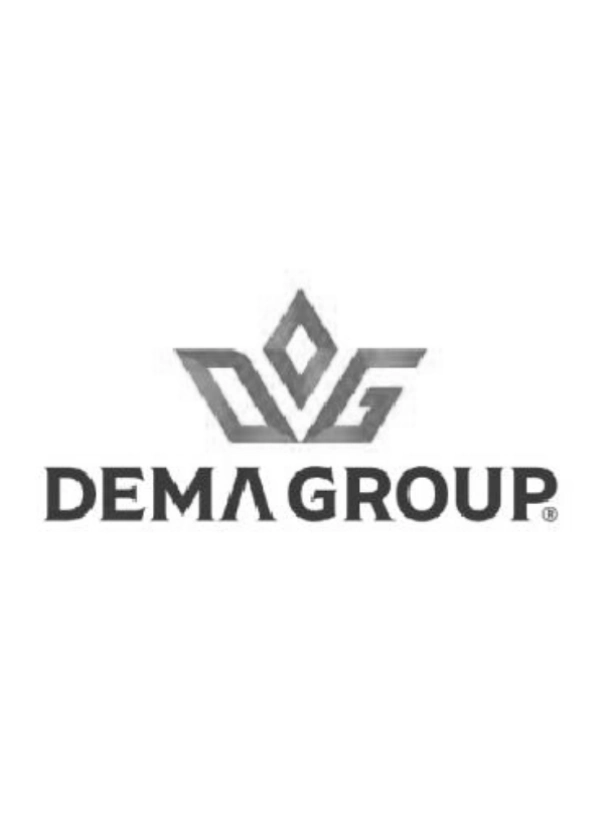 Dema Group
